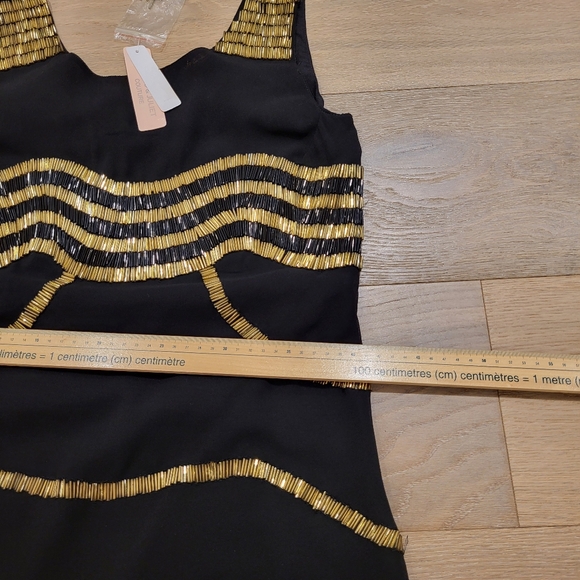 Romeo and Juliet Dress - Picture 7 of 8